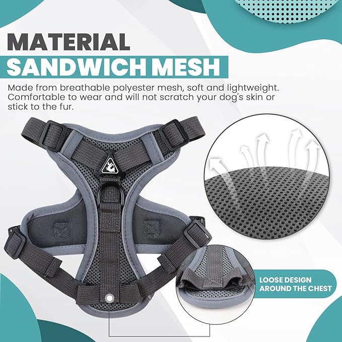 2 Pieces Dog Harness and Leash Set MEDIUM M