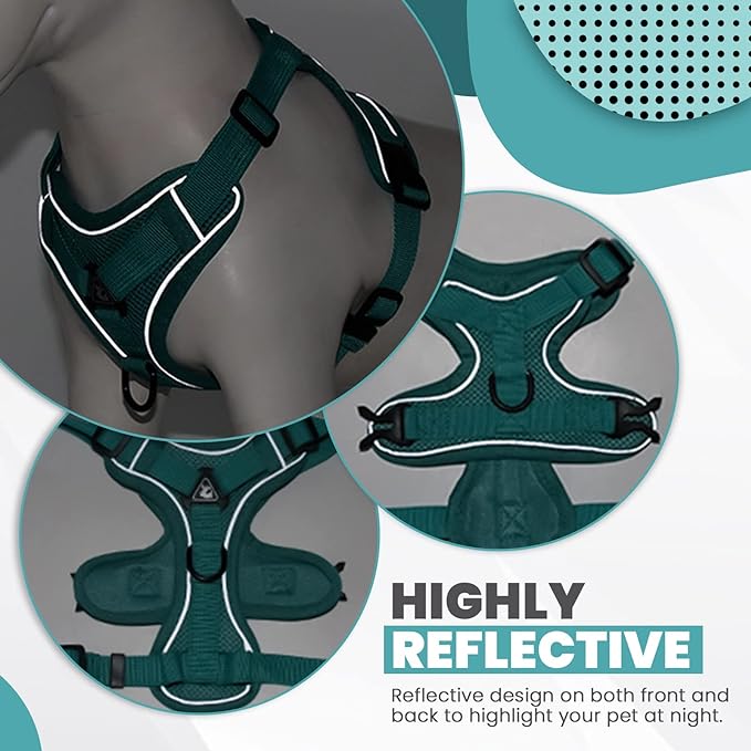 2 Pieces Dog Harness and Leash Set MEDIUM M