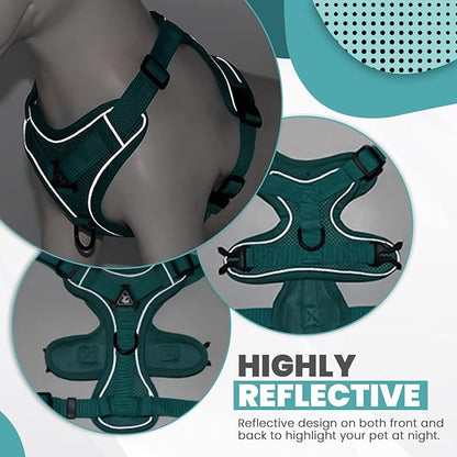 2 Pieces Dog Harness and Leash Set MEDIUM M