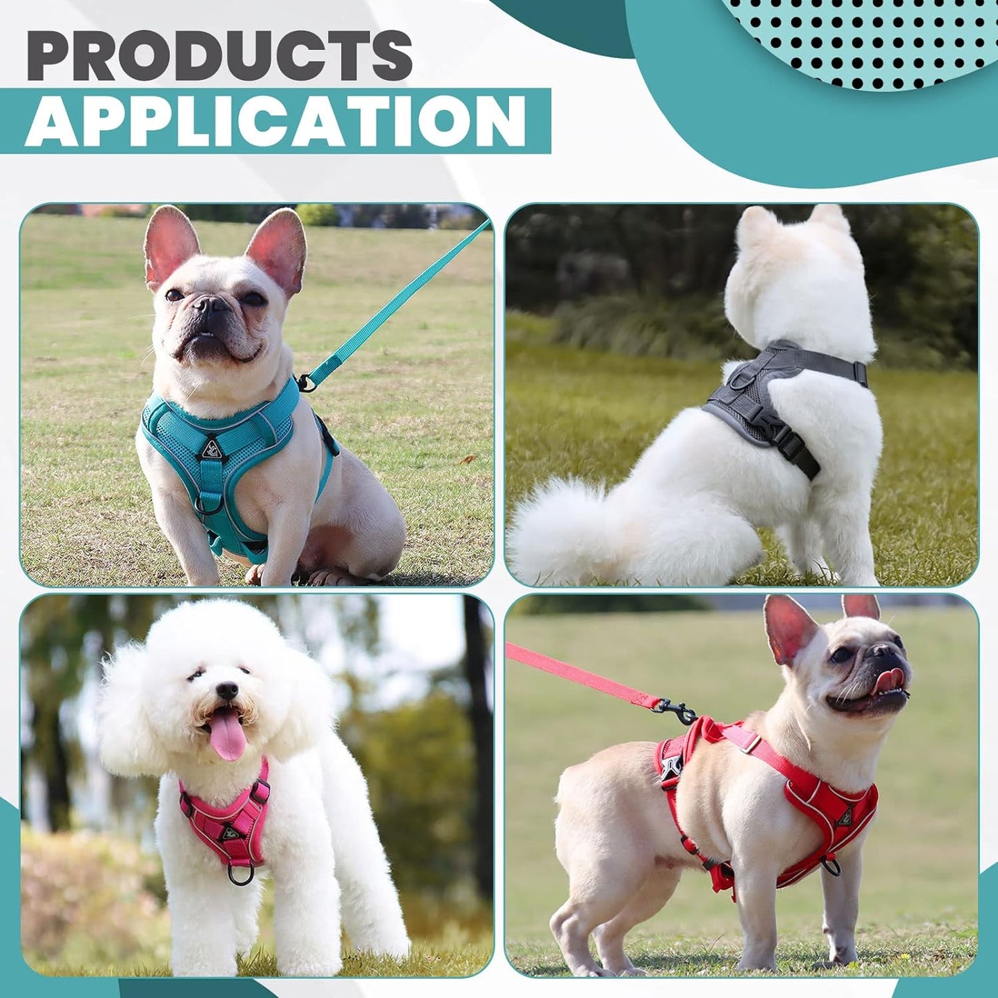 2 Pieces Dog Harness and Leash Set MEDIUM M