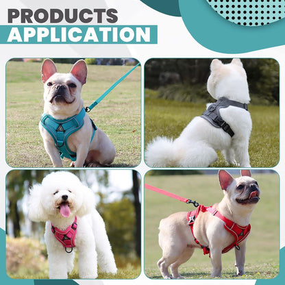 2 Pieces Dog Harness and Leash Set MEDIUM M