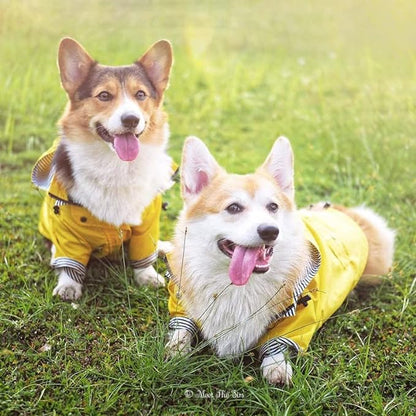 nylXPc-Zy Waterproof Jacket Pet Raincoat  2XL