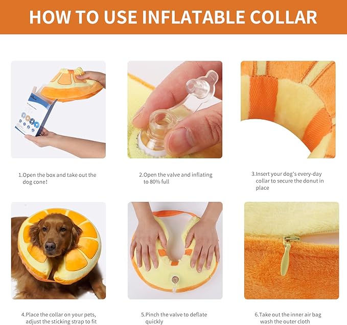 IEUUMLER گۆچانی سەگی چاکبوونەوەی باڵدار M