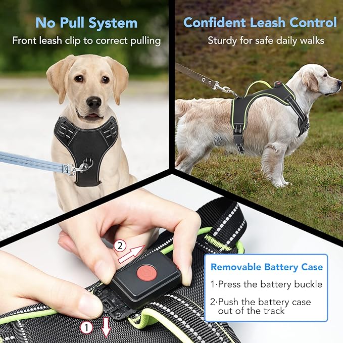 حزام الكلب المضيء بدون سحب LED L 