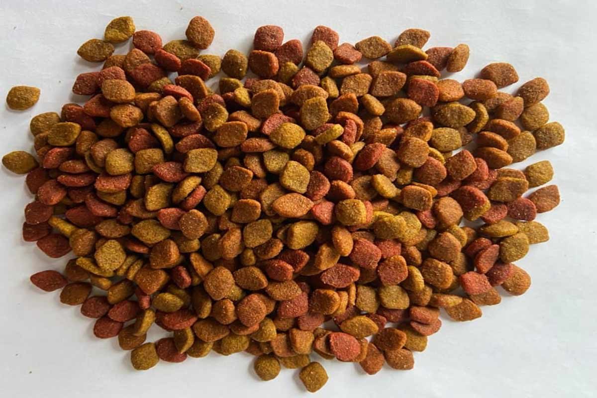 Pure Life Multicolor Adult Mix 15Kg