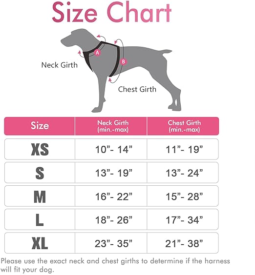 حزام الكلب من rabbitgoo مقاس L 