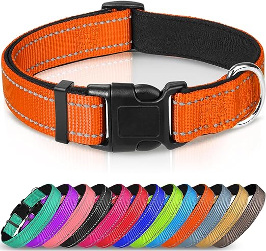 Taglory Reflective Dog Collar XS