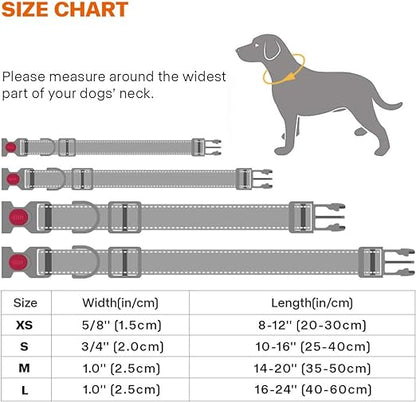 طوق الكلب العاكس Taglory XS 