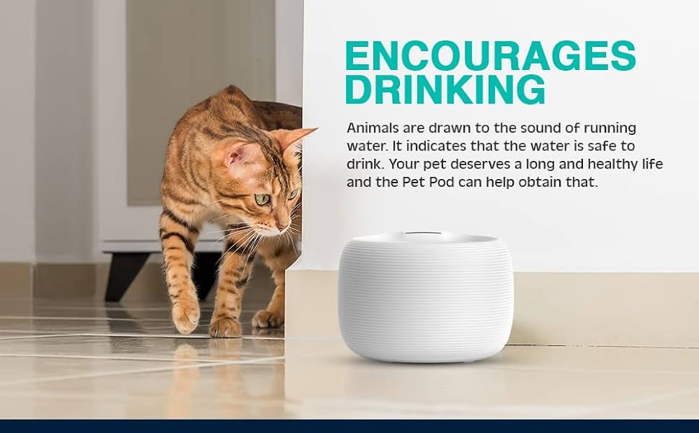 نافورة مياه PET POD سعة 2.5 لتر