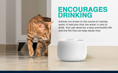 نافورة مياه PET POD سعة 2.5 لتر