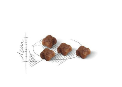 Royal Canin Persian Adult 2Kg