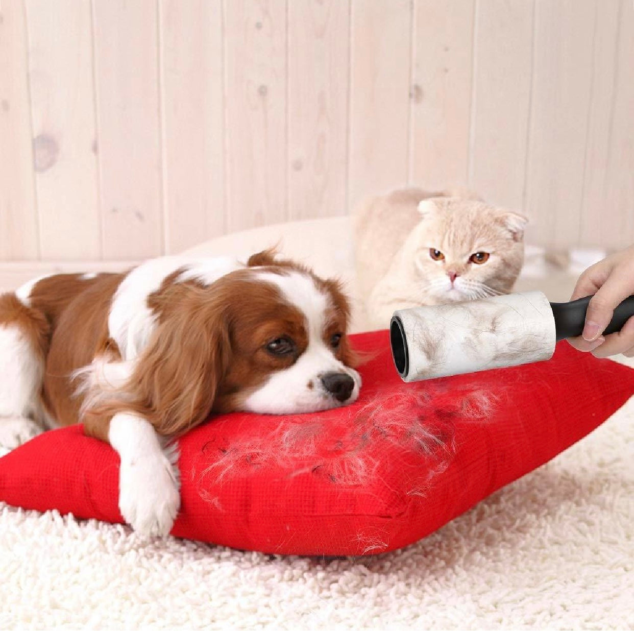 لینتی ڕۆلەر