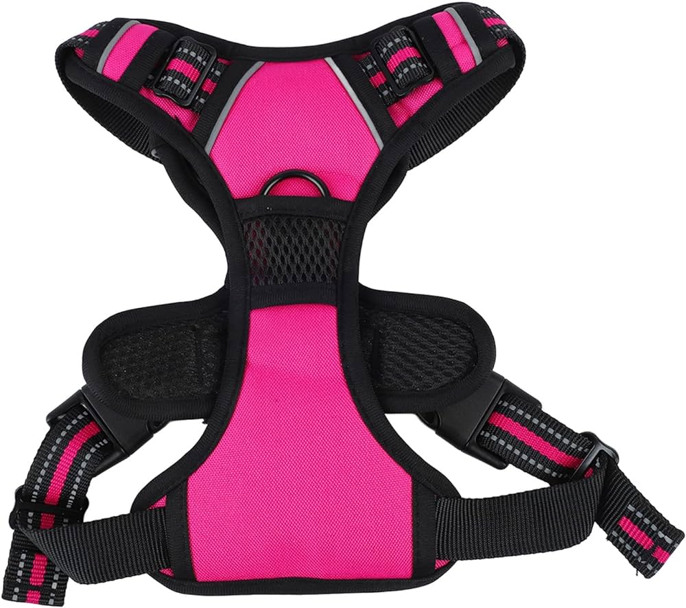 حزام الكلب L