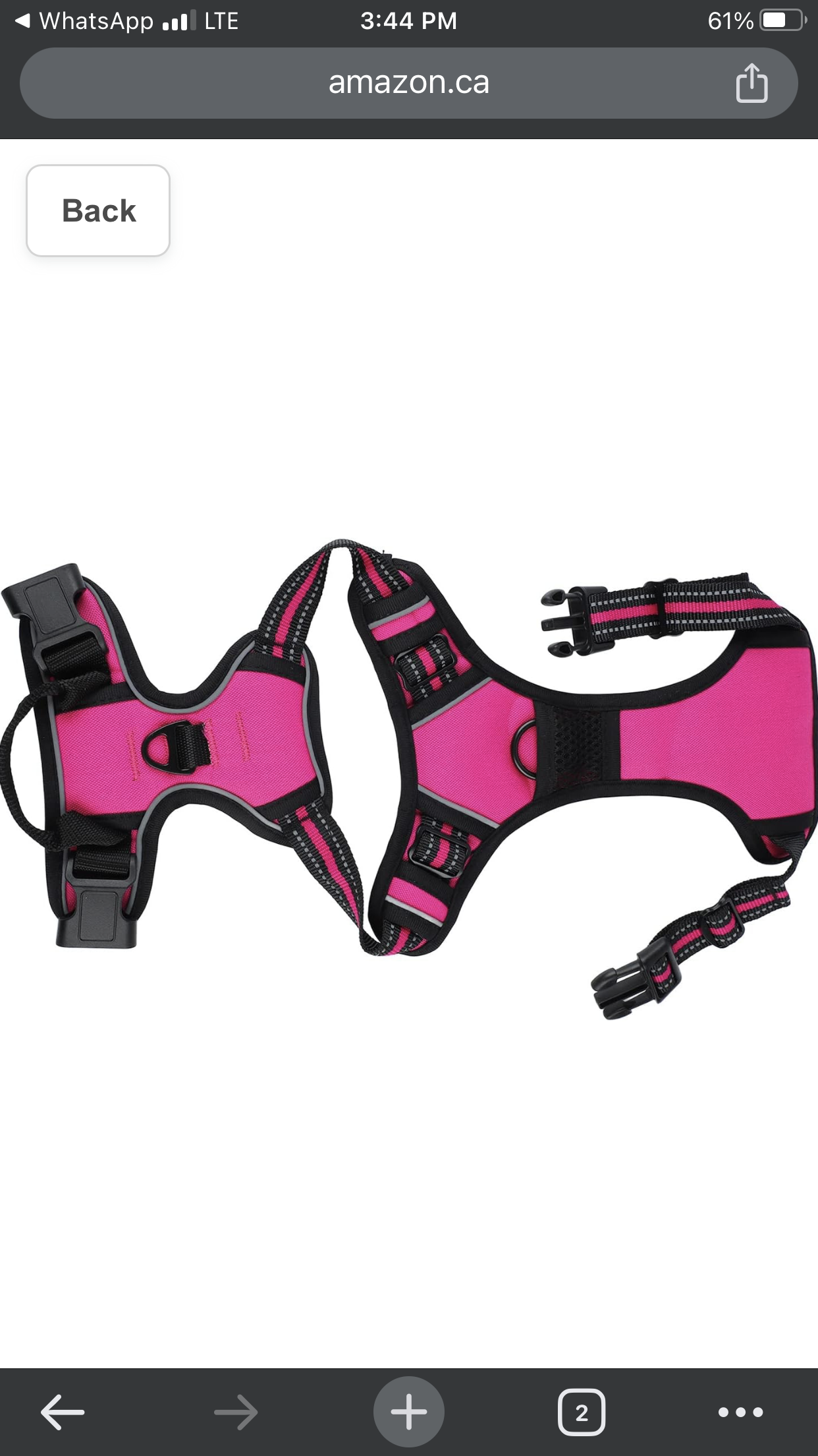 حزام الكلب L