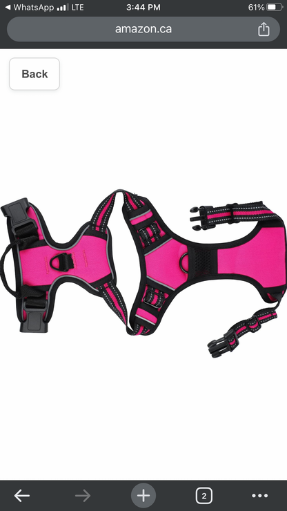 حزام الكلب L