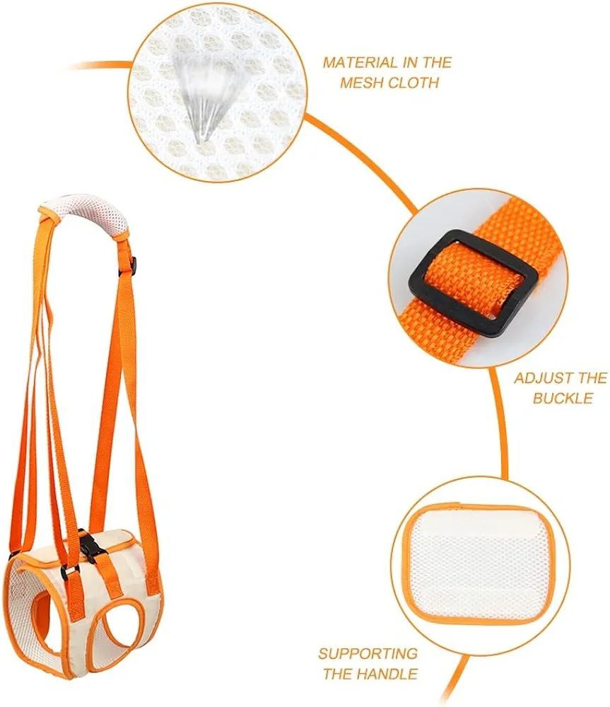 حزام الكلب م