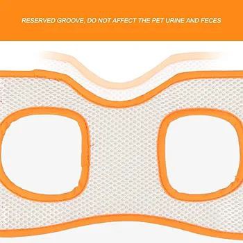 حزام الكلب م