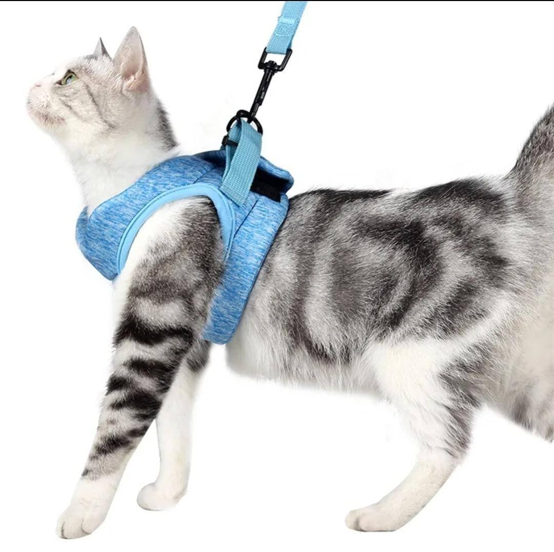 Soft Leash & Harness S