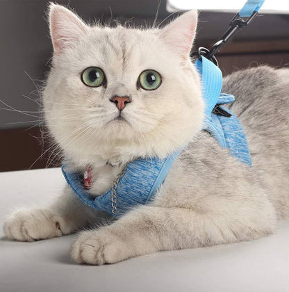 Soft Leash & Harness S