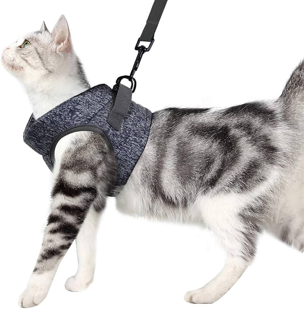 Soft Leash & Harness S