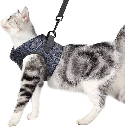 Soft Leash & Harness S