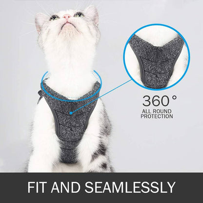 Soft Leash & Harness S