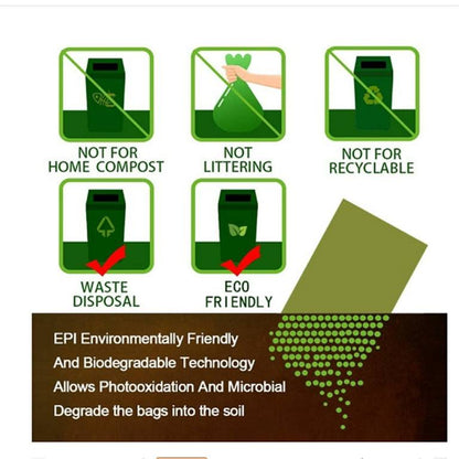 کیسی پیسایی/پاشماوە 20X