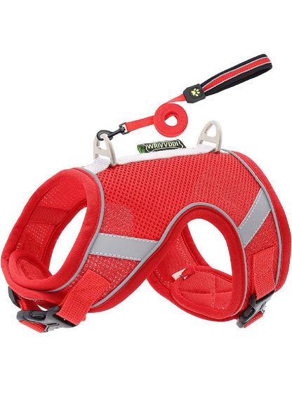 سۆفت هارنێس و لیش L