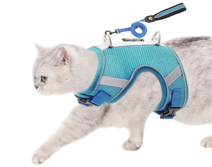 Soft Harness & Leash S