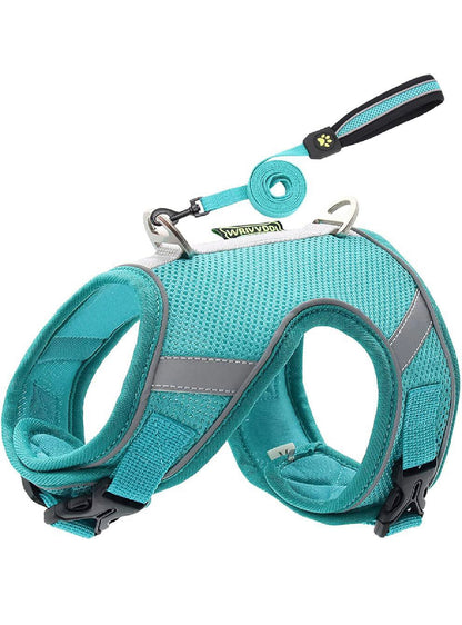 Soft Harness & Leash S