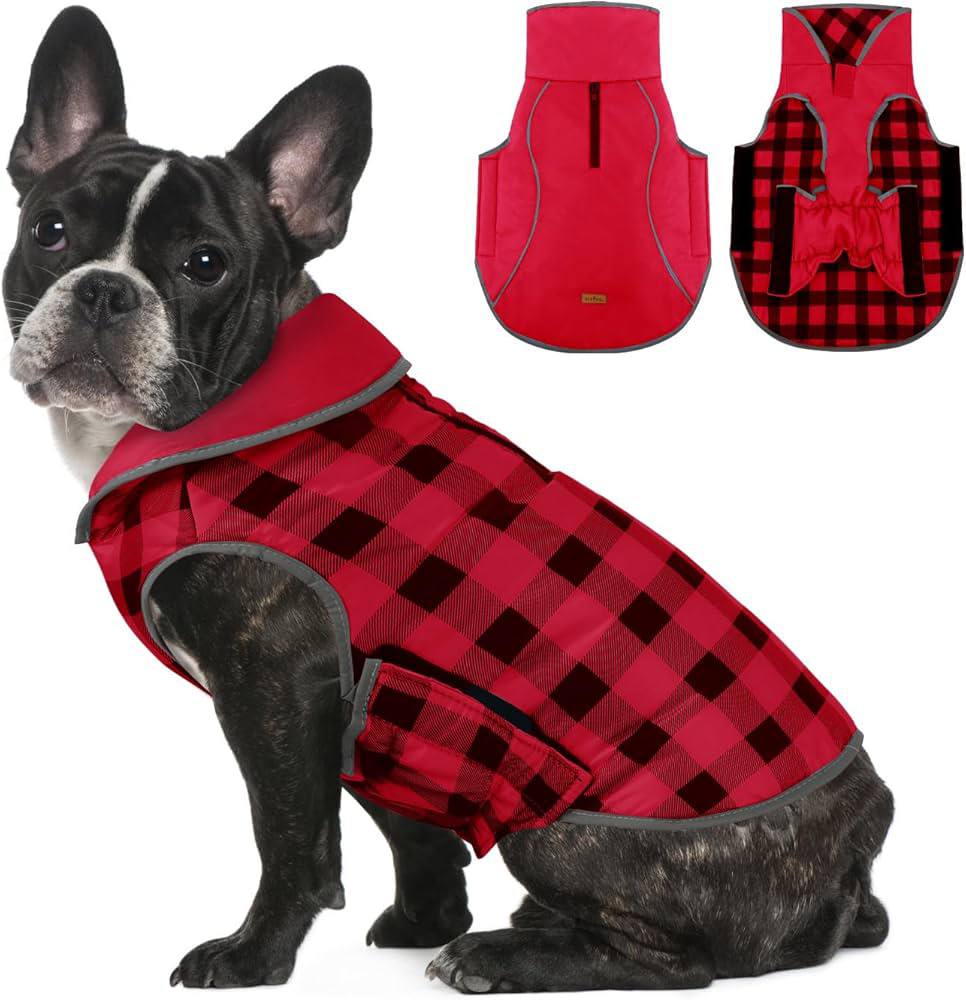 ALAGIRLS Dog Jacket XXL