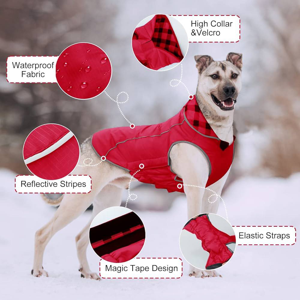 ALAGIRLS Dog Jacket XXL