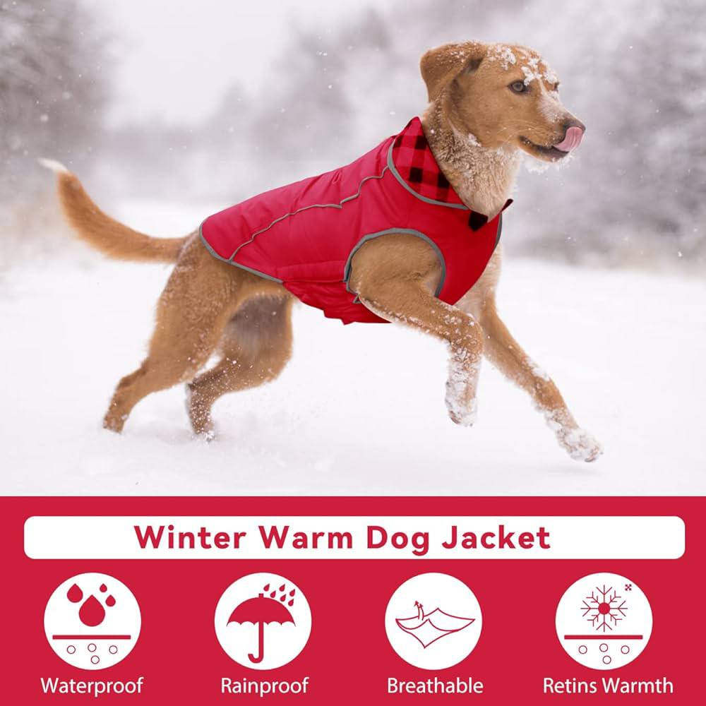 ALAGIRLS Dog Jacket XXL