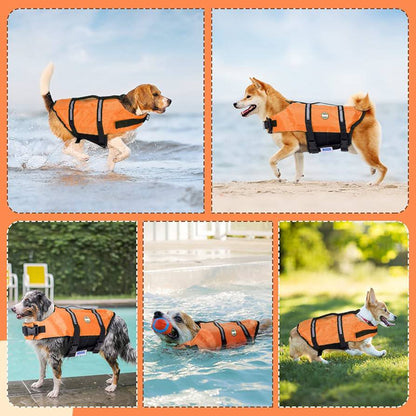 Nobleza - Dog Jacket S