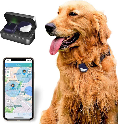 شوێنپێهەڵگری PETFON Gps
