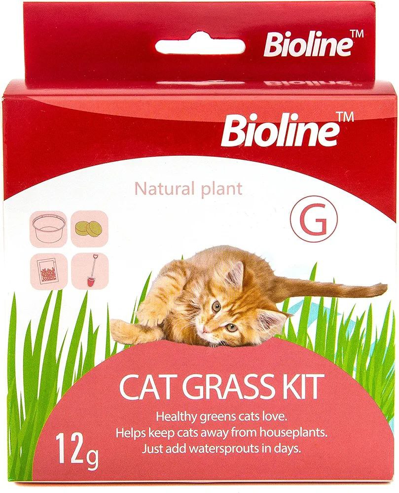 Bioline Cat Grass Kit 12g