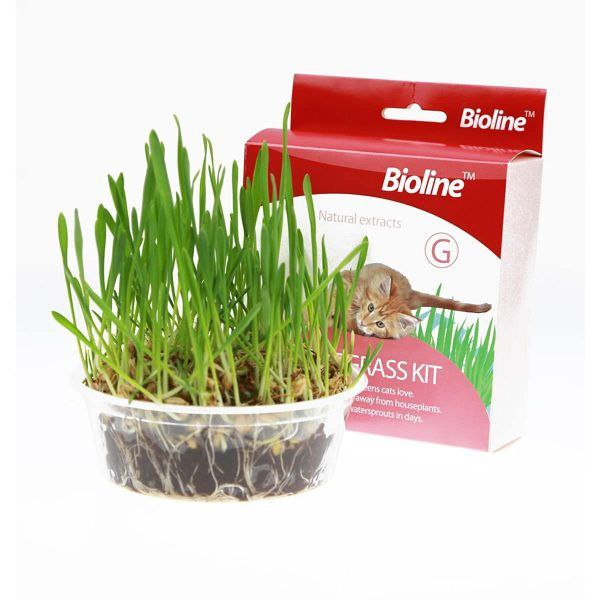 Bioline Cat Grass Kit 12g