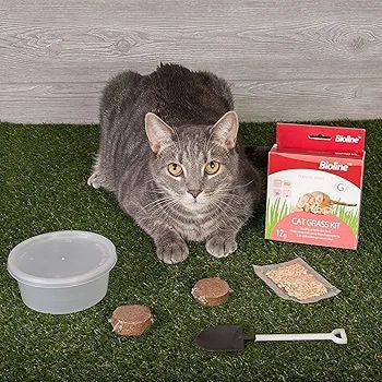 Bioline Cat Grass Kit 12g