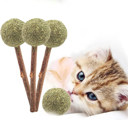 Bioline Lollipop Catnip 1Pcs