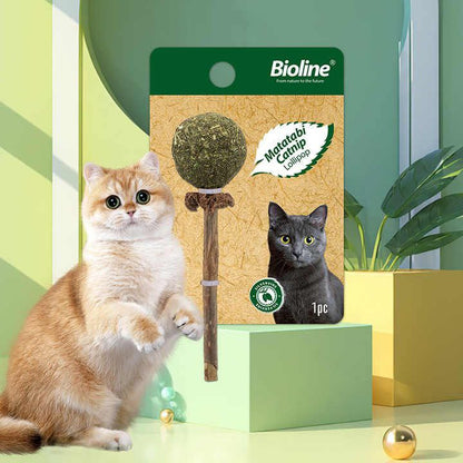 Bioline Lollipop Catnip 1Pcs