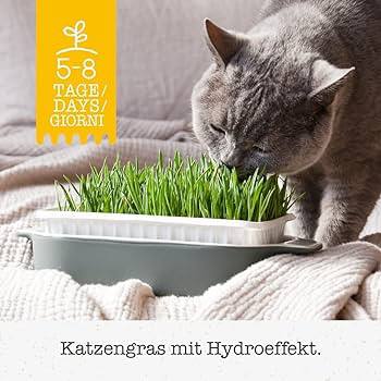 GimCat Soft Grass 150g