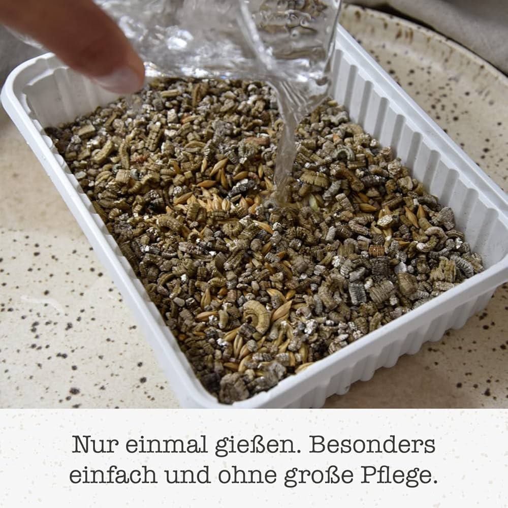 GimCat Soft Grass 150g