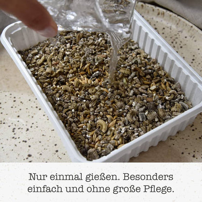 GimCat Soft Grass 150g