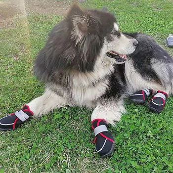 حذاء كلاب مقاوم للماء مقاس M