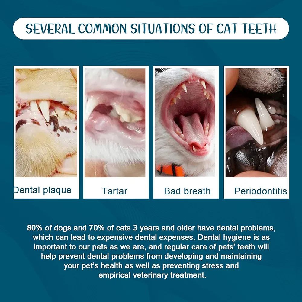 مەعجونی ددانی Elaimei 100g