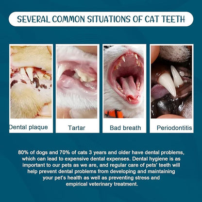 مەعجونی ددانی Elaimei 100g