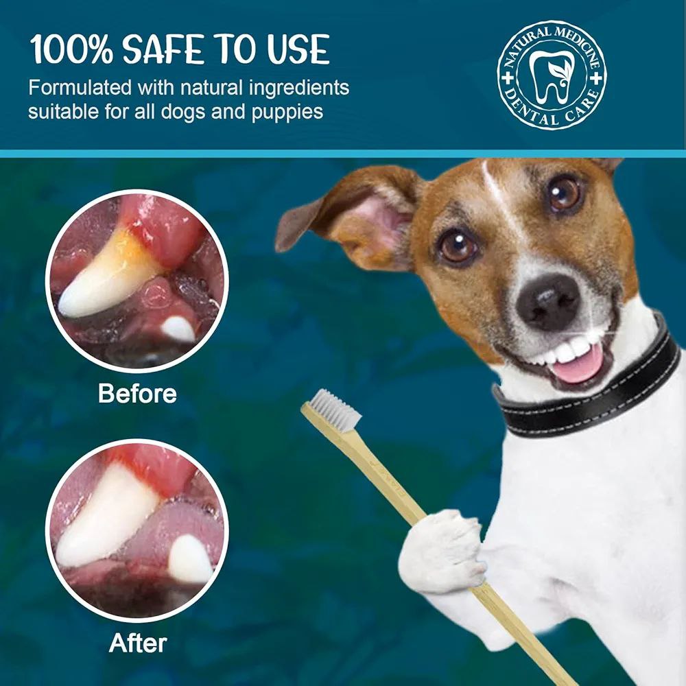 مەعجونی ددانی Elaimei 100g