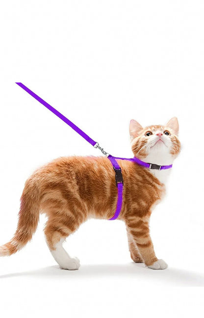 Cat Leash & Harness