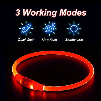 گۆچانی Led Zoofari شەحن دەکرێتەوە 20سم