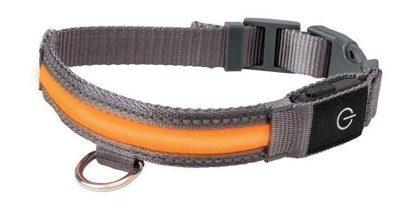 Zoofari Dog Led Collar S